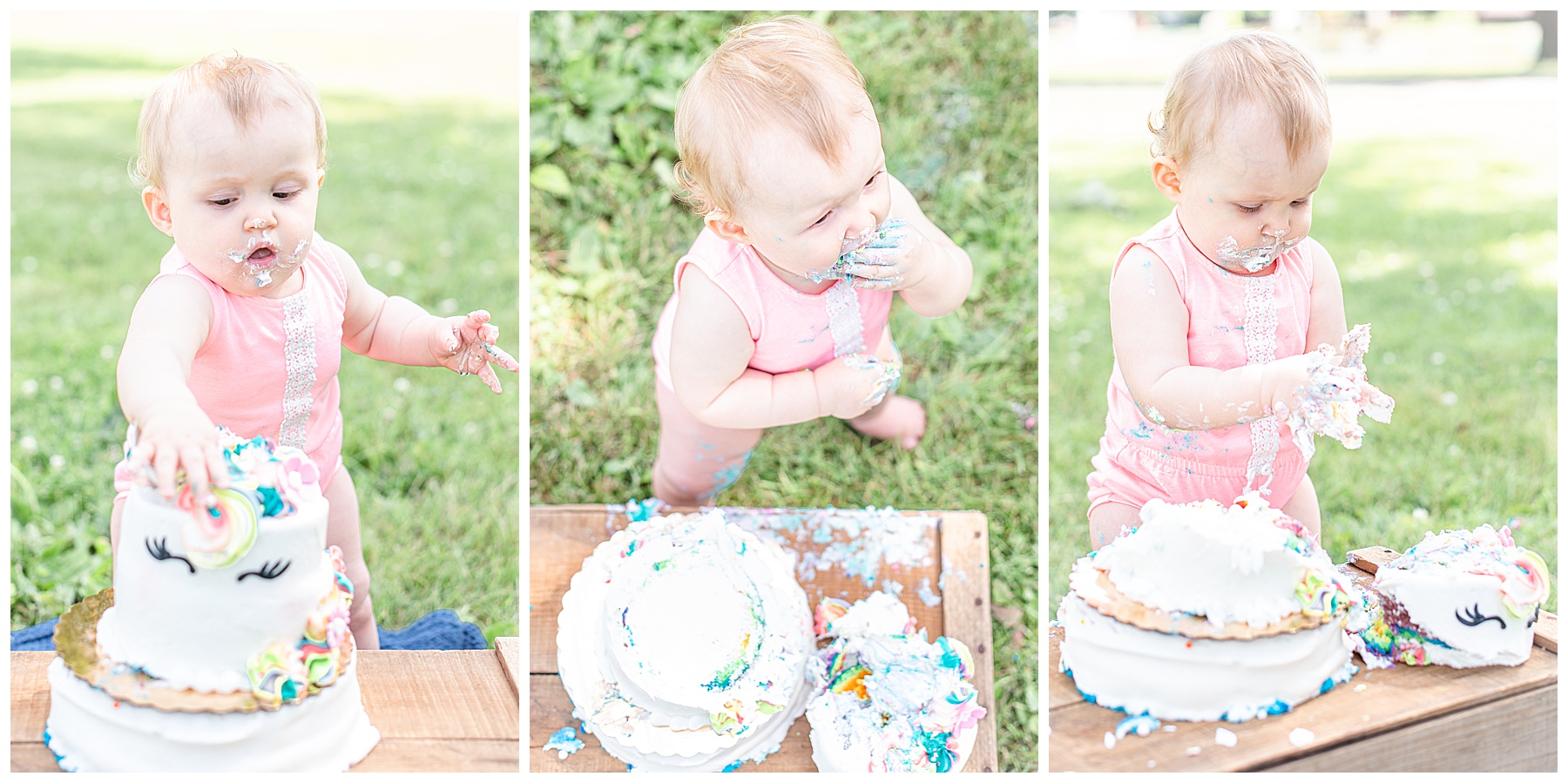 Cake Smash One Year Old Photography Session Wisconsin