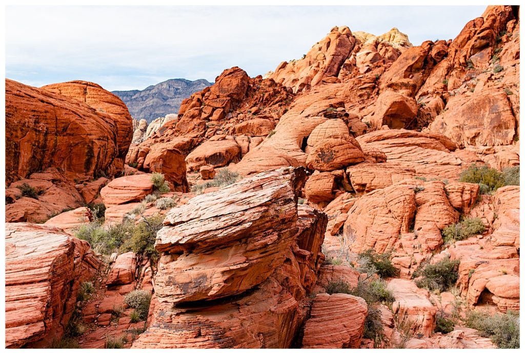 The day I took an Uber to hike at Red Rock Canyon