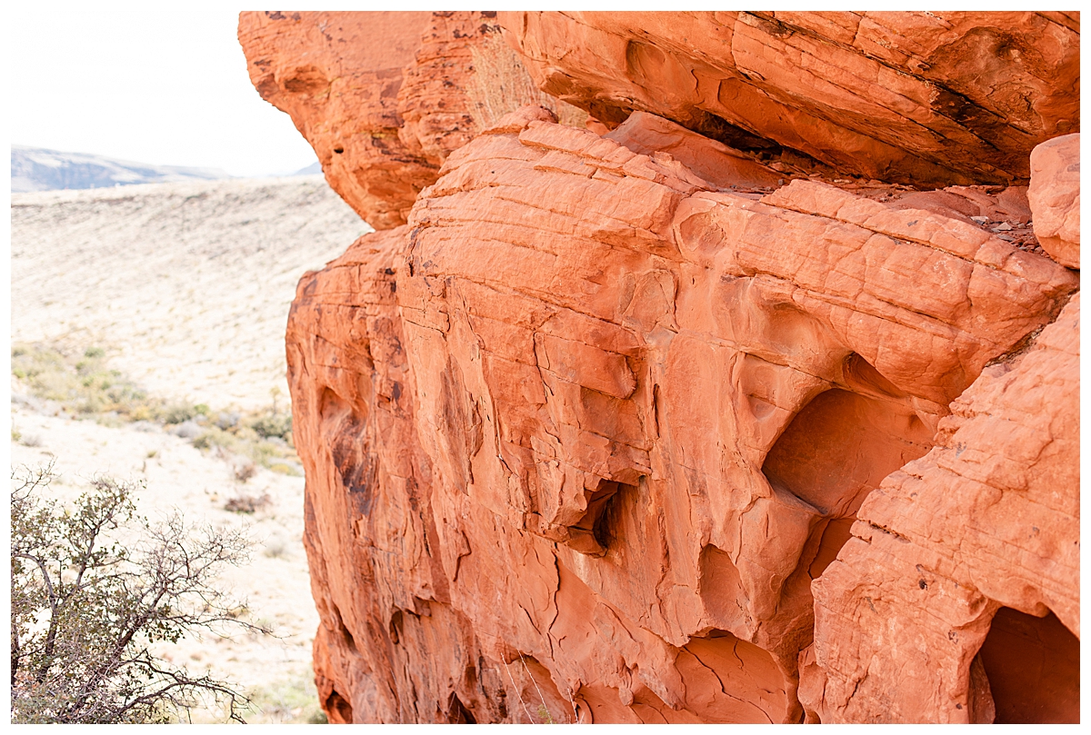 red rock canyon las vegas desert