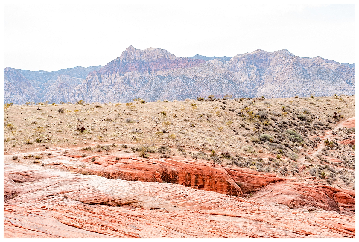 red rock canyon las vegas desert