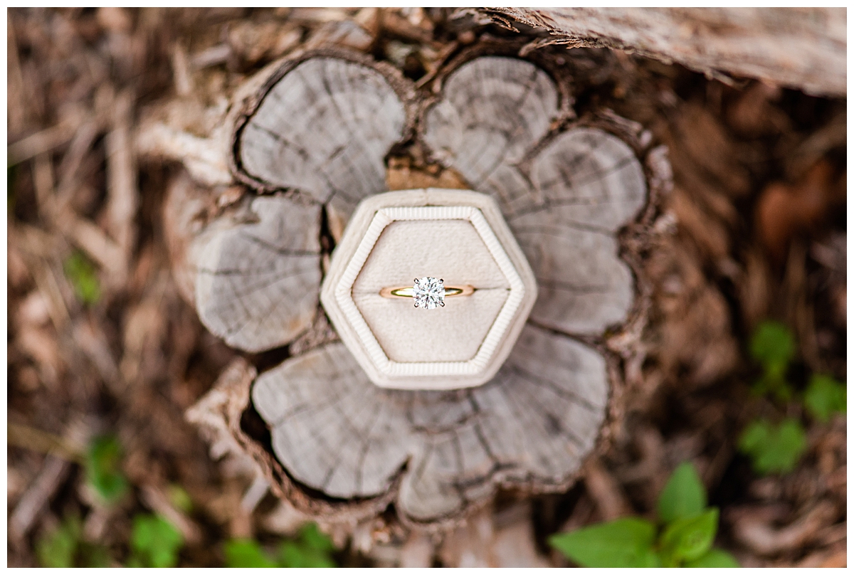 an engagement ring on a stump at the uw arboretum by madison wedding photographer