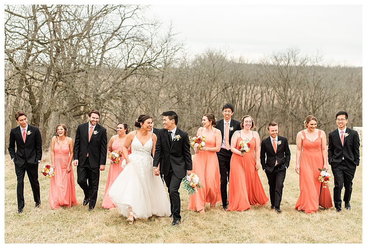 wedding party walking through a field near the mt horeb wedding venue, the eloise, by madison wedding photographer