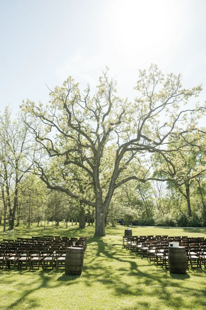 Madison Wisconsin Wedding Venue - Barnwood Events